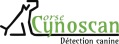 Logo cynos